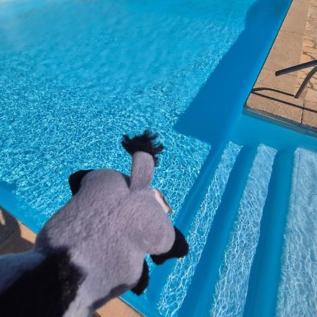 Havre De Paix Appart Climatise,Piscine,Wifi Le Barcarès Eksteriør billede
