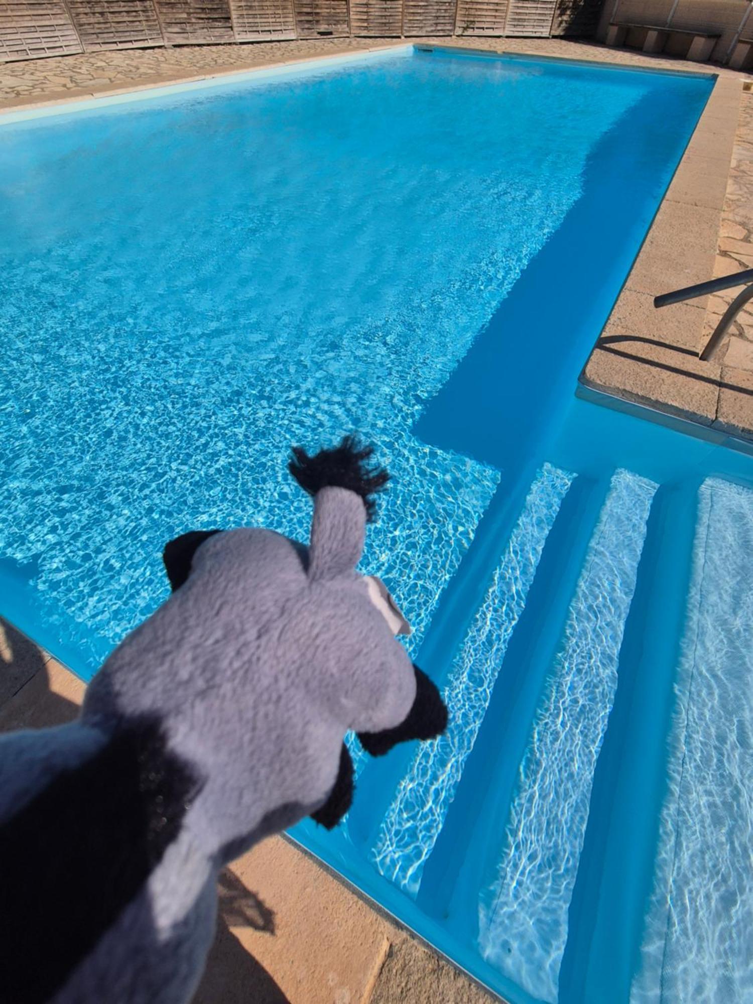 Havre De Paix Appart Climatise,Piscine,Wifi Le Barcarès Eksteriør billede